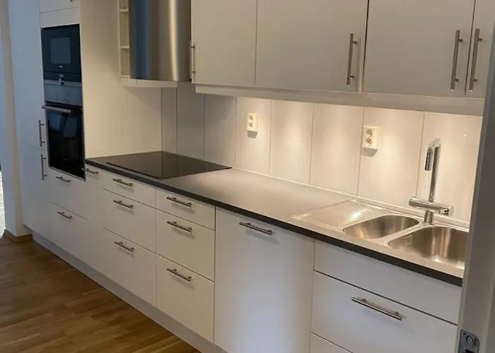 Lägenhet Sentrumsnaer I